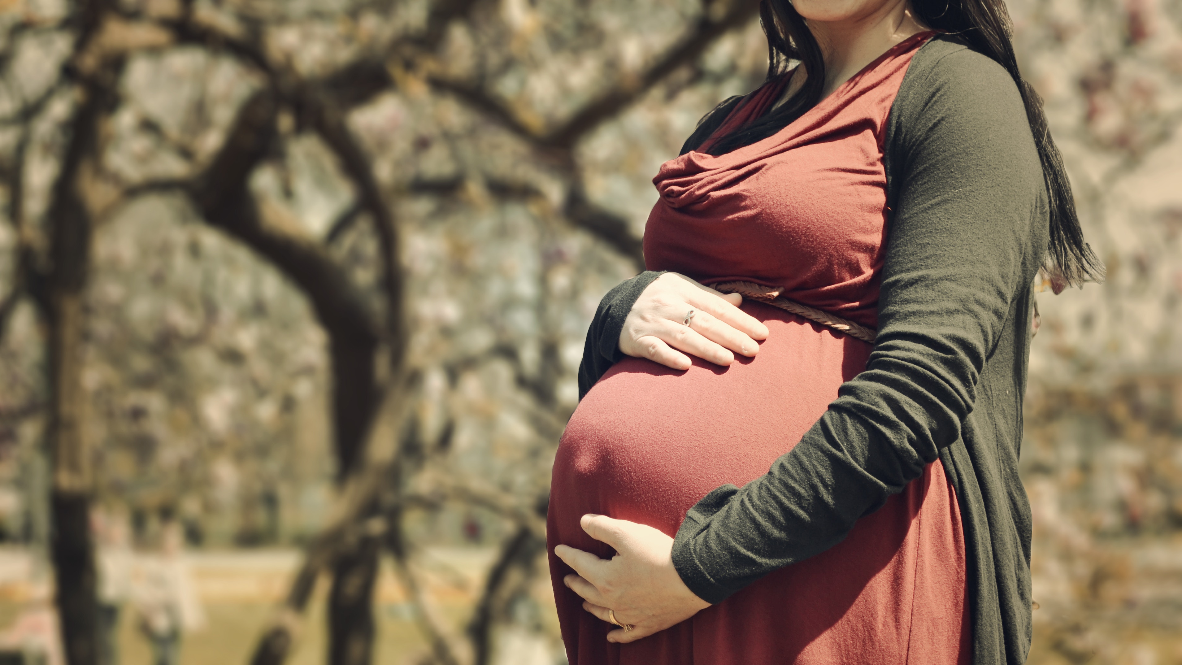 The Hostile States: Ensuring that your state laws do not prohibit your gestational carrier arrangement