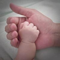 Embryo Custody Battles