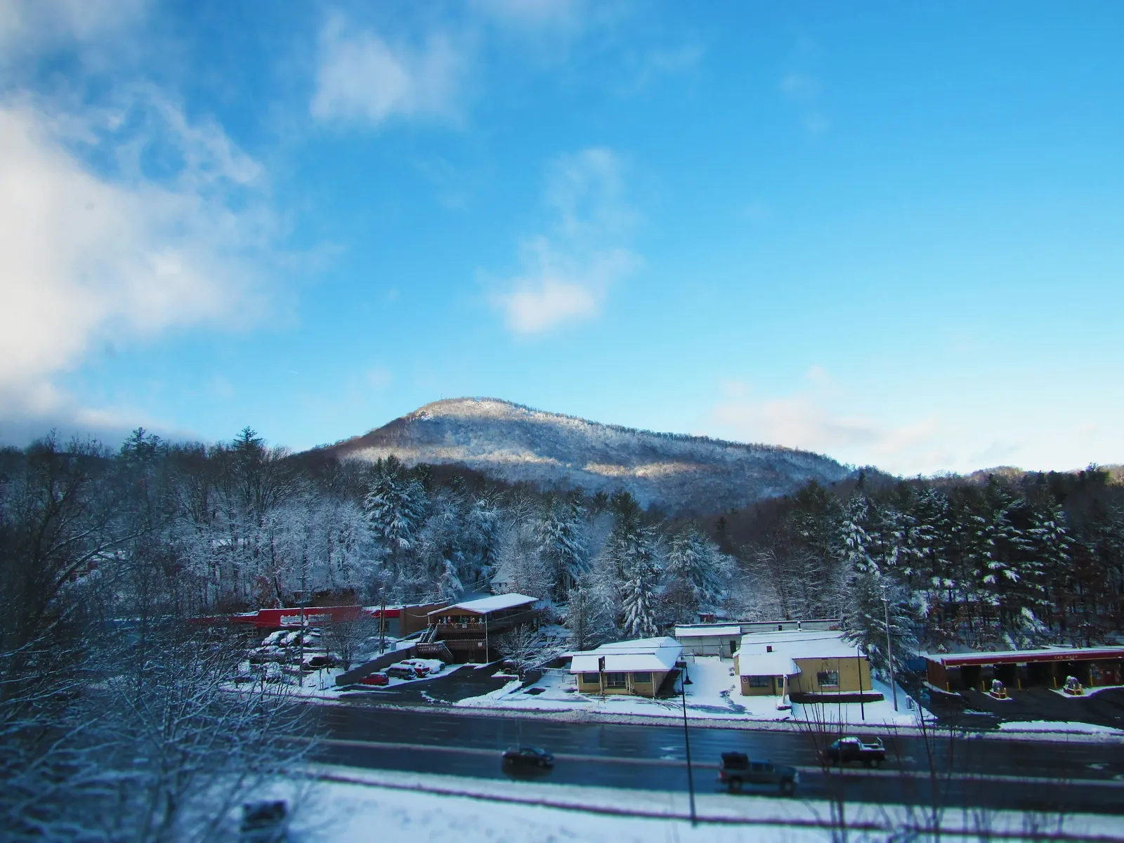 Family Formation Attorney in Boone, NC