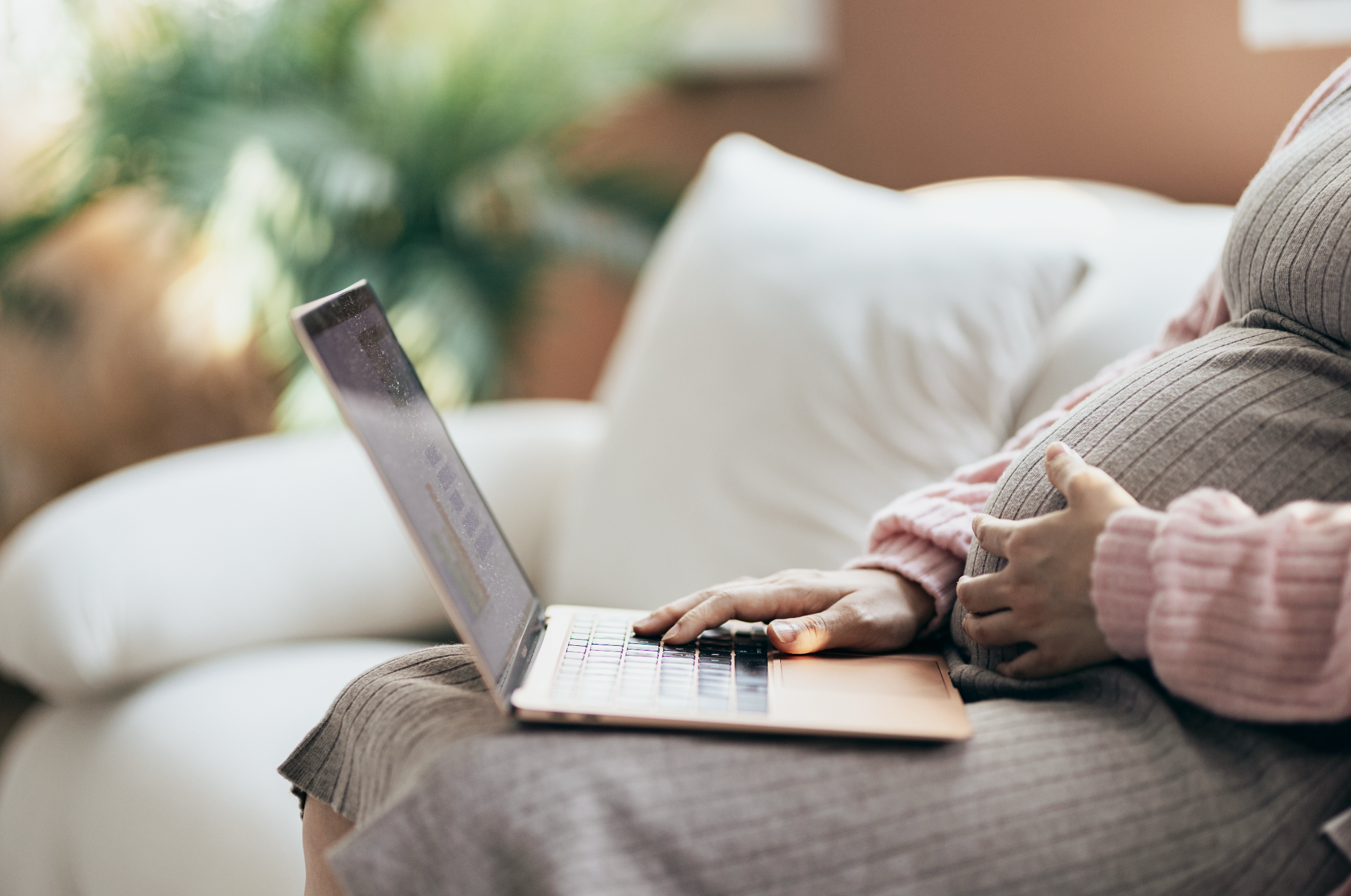Estate Planning During Your Surrogacy Journey