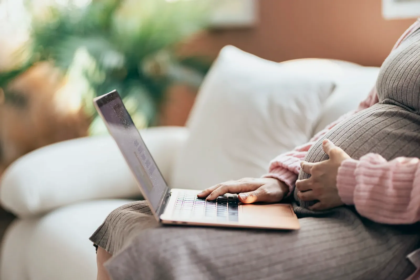 Estate Planning During Your Surrogacy Journey