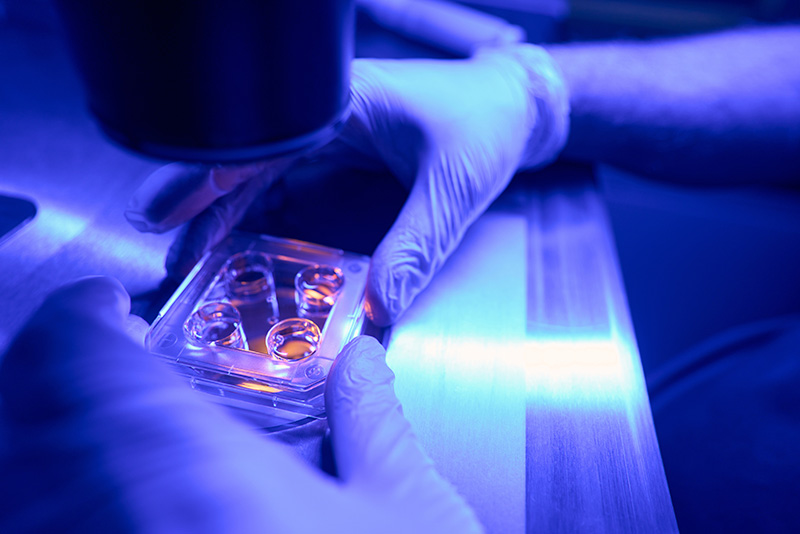 Understanding Genetic Testing