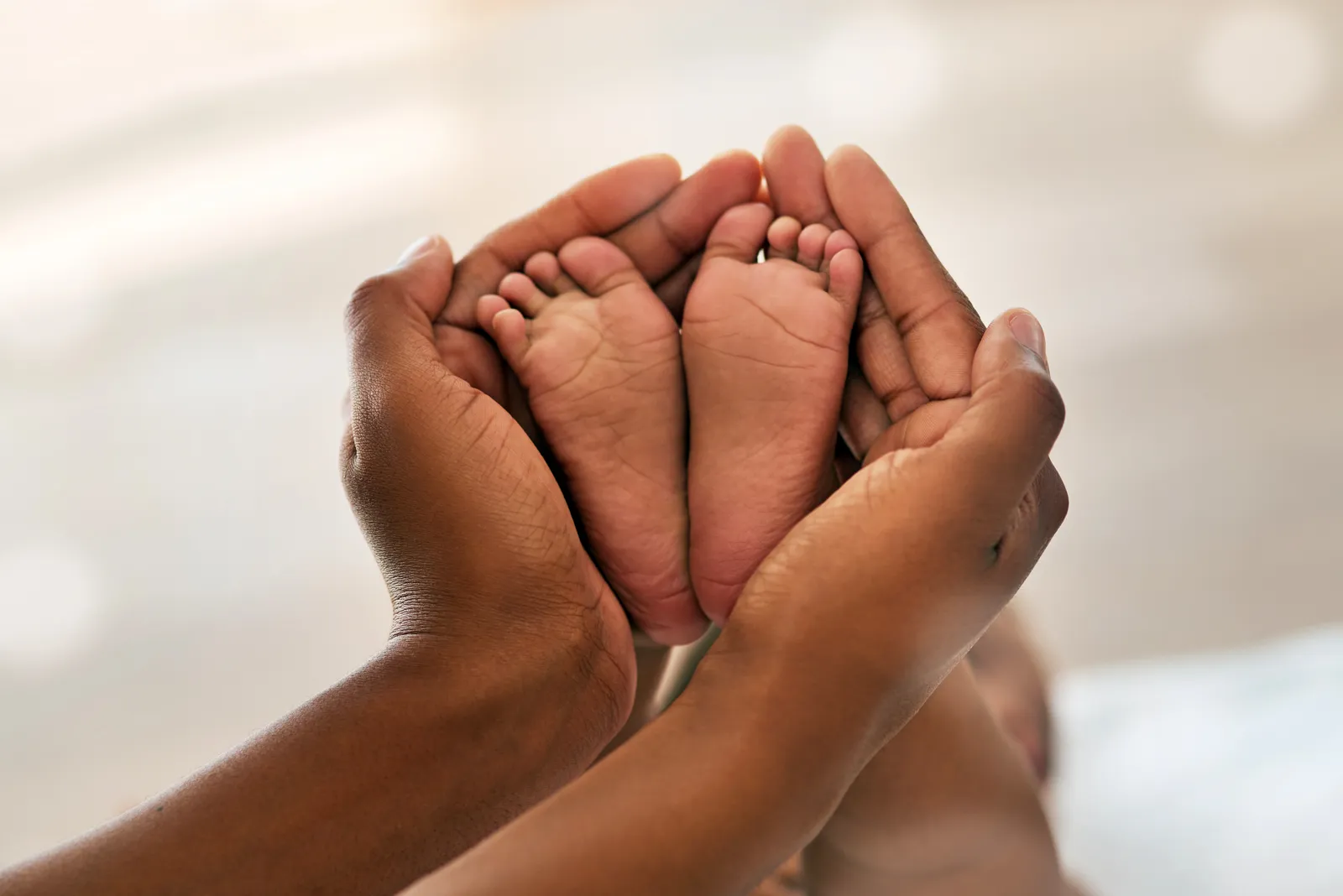 Known Donor Agreement in North Carolina